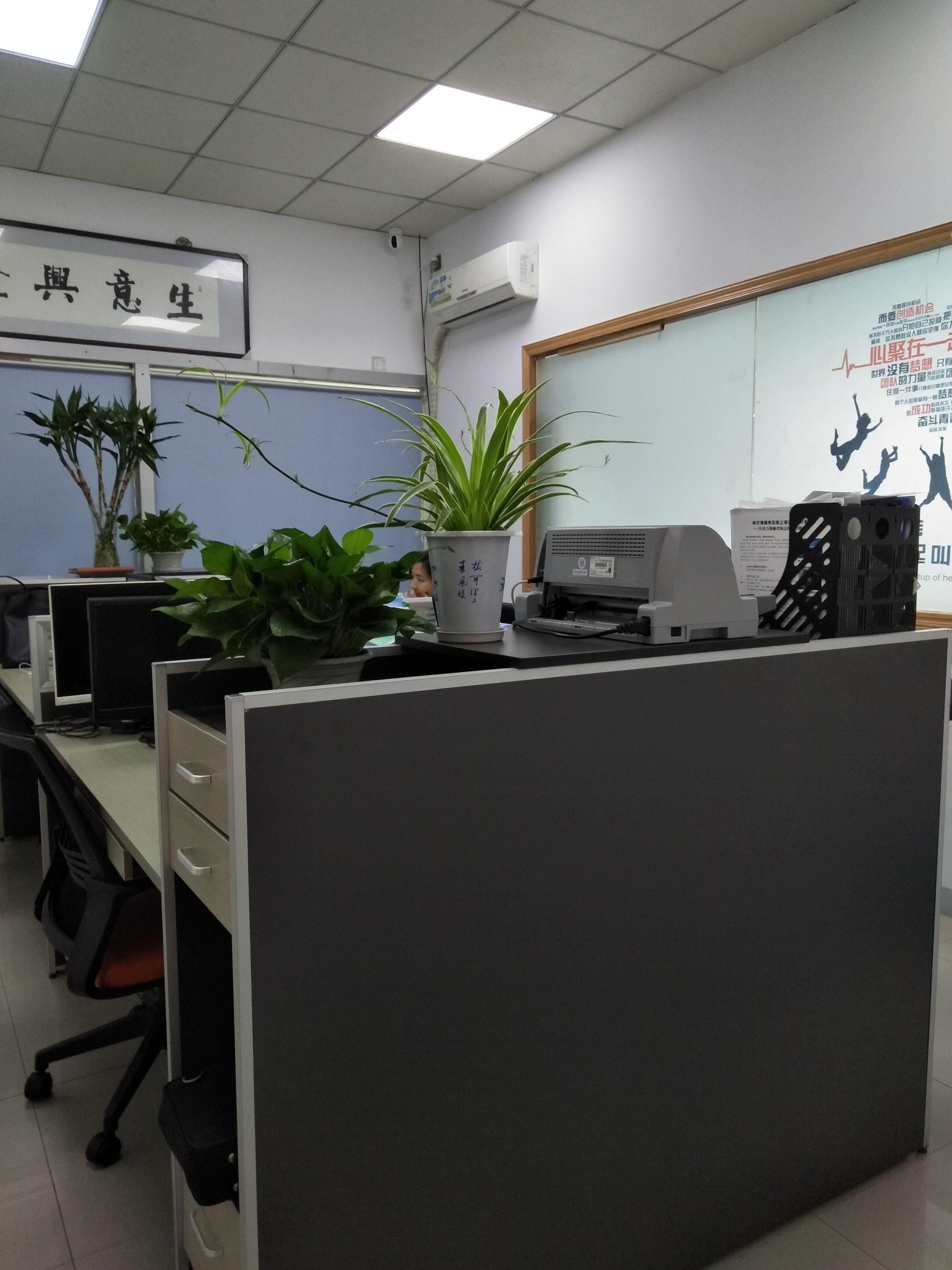 绿色植物.jpg